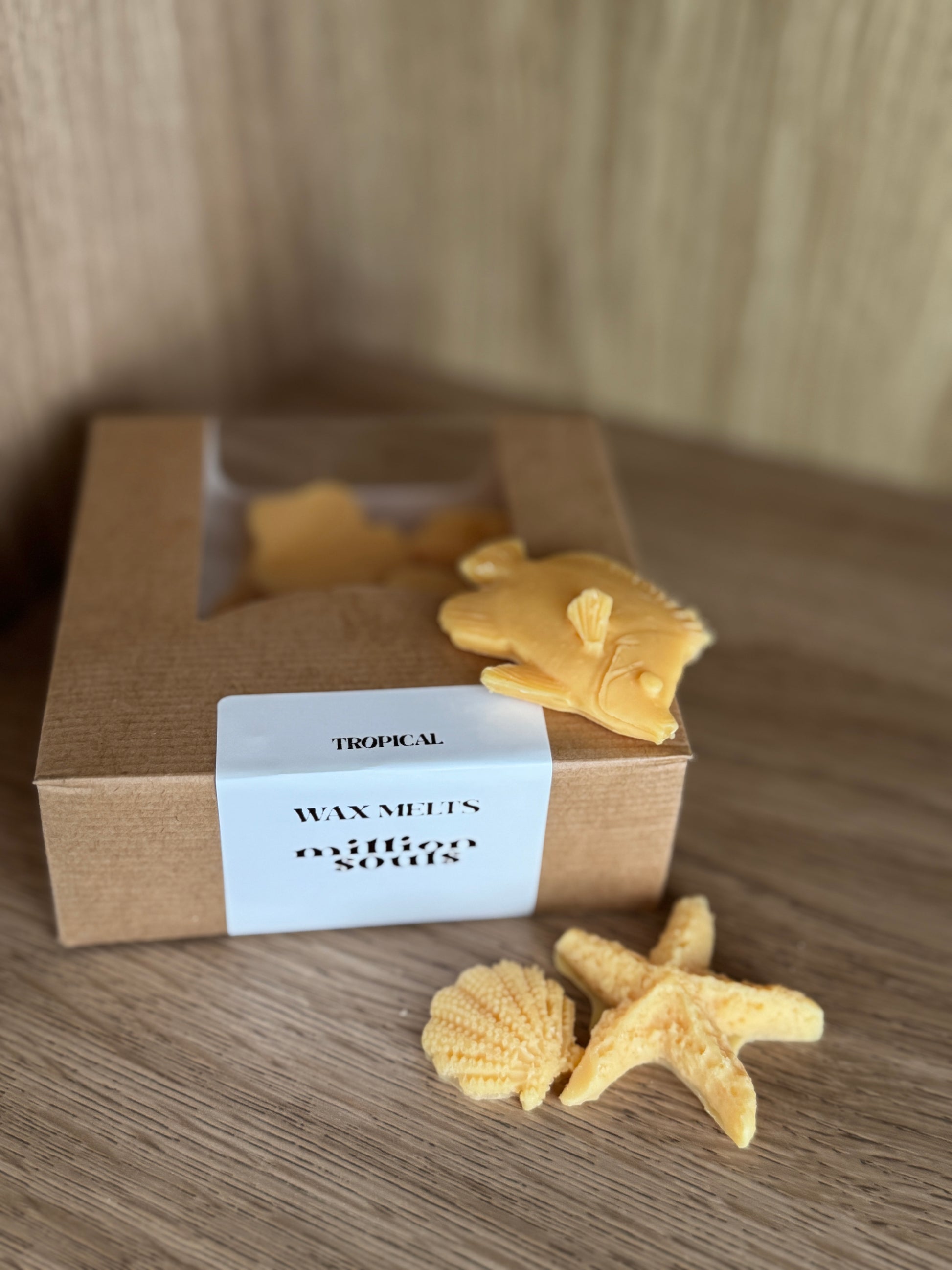Pack Quemador + Waxmelts