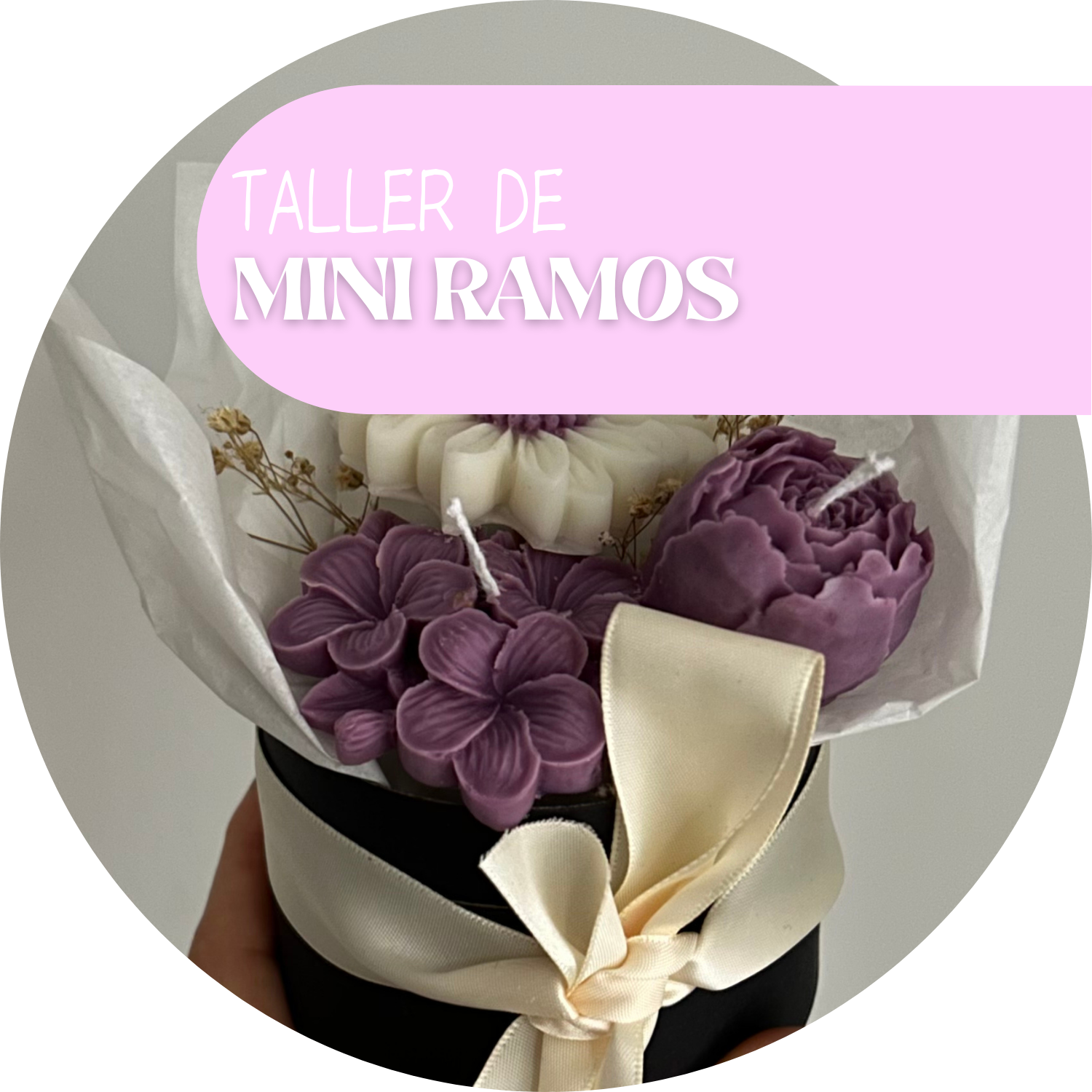 Taller Mini ramos